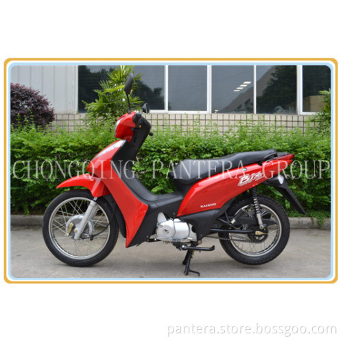 MOTORCYCLE SM110-18